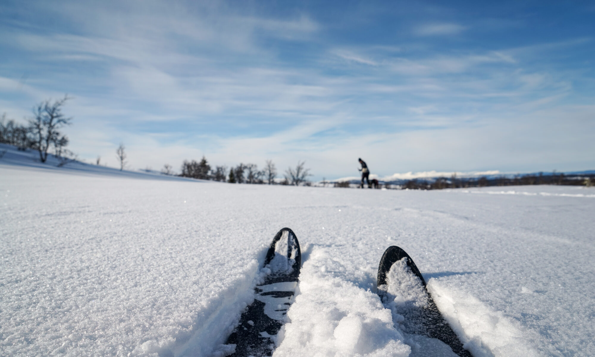 Turkidåkning i nysnö i Åre