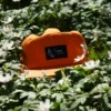 Vöks Outdoor five-panel orange keps i i ett hav av vitsippor