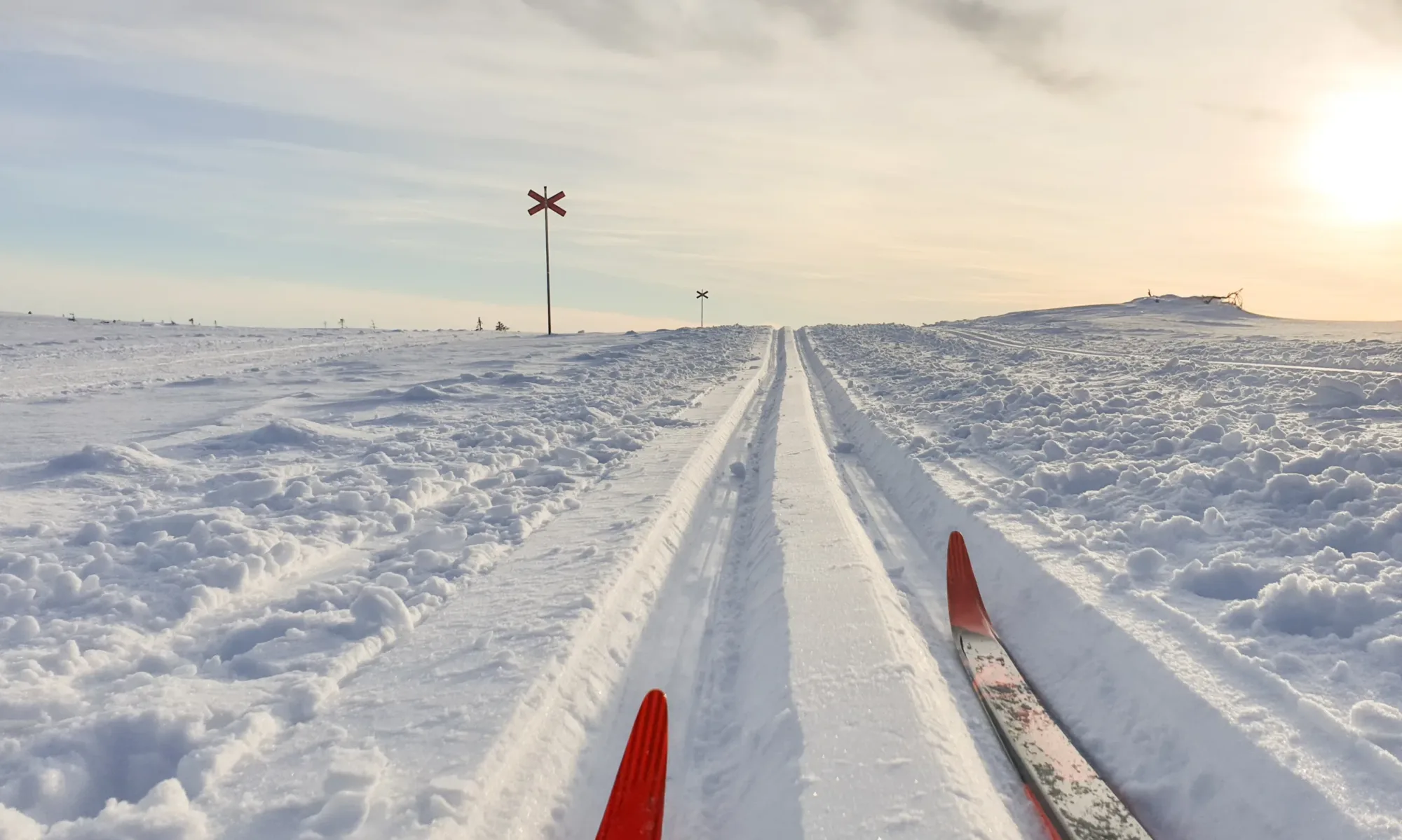 Skis in classic ski tracks