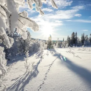 Gnistrande snö i solen